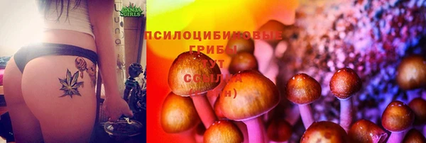 спайс Балахна