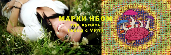 стаф Баксан