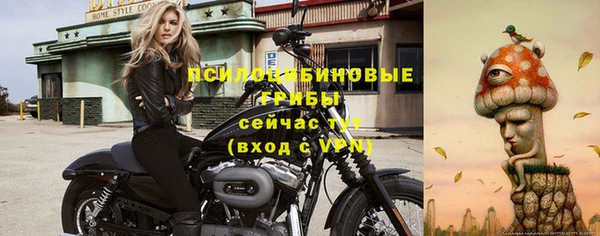 стаф Баксан