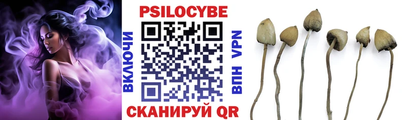 Галлюциногенные грибы Psilocybine cubensis  нарко площадка какой сайт  Верхотурье 