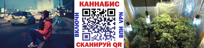 Конопля MAZAR  кракен как зайти  Верхотурье 
